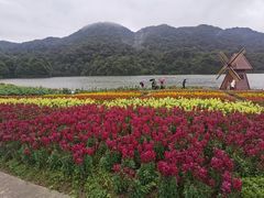 -广州市石门国家森林公园