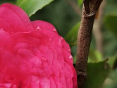 -兰溪青年公园