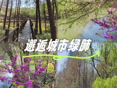 -尚贤河湿地