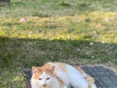 -扬州大运河文化旅游度假区·盆景园