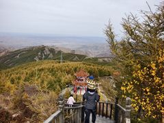 -苏木山森林公园