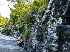 -上海吴淞炮台湾国家湿地公园