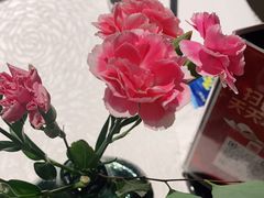 -旺顺阁·北京菜(北辰上品+)