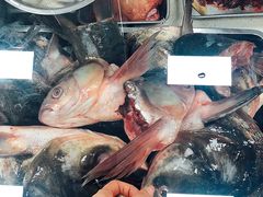 -潮信鱼头王(西环店)