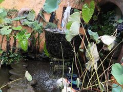 -园林美食城·本土农家菜(杨和镇店)