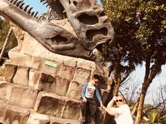 -自贡恐龙博物馆