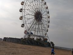 -奉贤海滩