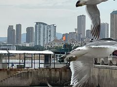 -星海广场