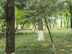 -塔子山公园