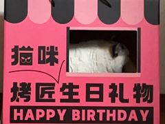 -烤匠麻辣烤鱼(环球中心店)