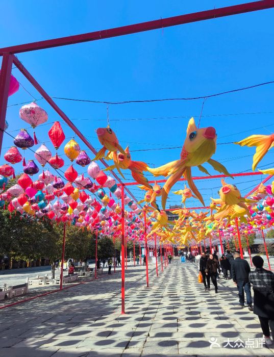 祥源·阜阳生态乐园图片