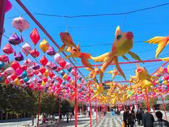 -祥源·阜阳生态乐园