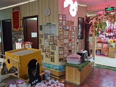 -宠物兔专门店(天丰利市场店)