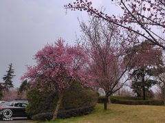 -码头故事火锅(大丰店)