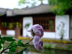 -郭庄景区
