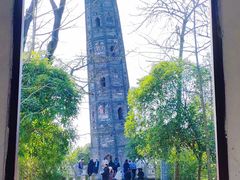 -上海佘山国家森林公园天马山园