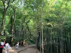-西湖风景区十里琅珰-五云山