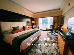 -新加坡文华东方酒店