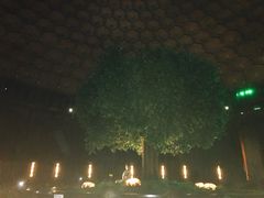 -普陀山慧济禅寺