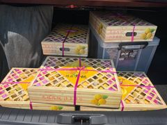 -南汇新场正宗水蜜桃采摘