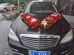 -蚂蚁婚车