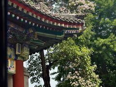-颐和园