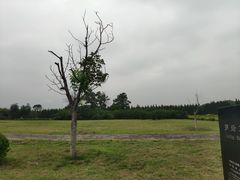 -汉景帝阳陵博物院