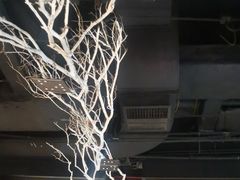 -五月花商业广场(中山五路店)