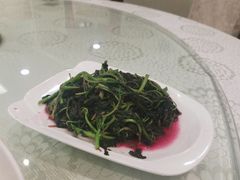 -翰林宴(阜南路店)