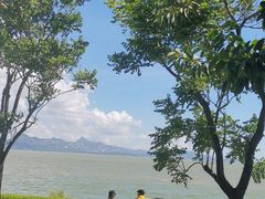 -欢乐海岸椰林沙滩-2025湾区超级灯会