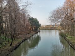 -同里国家湿地公园