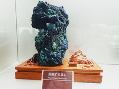 -甘肃地质博物馆