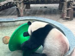 -黔灵山公园