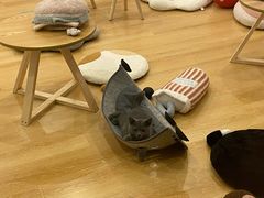-猫咪派对(江南西店)