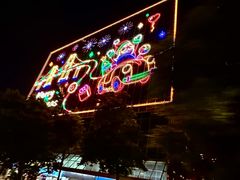 -Big Bus Tours 敞篷观光巴士