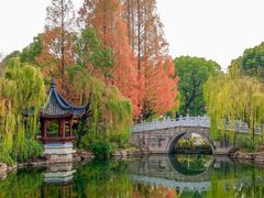 -上海海湾国家森林公园