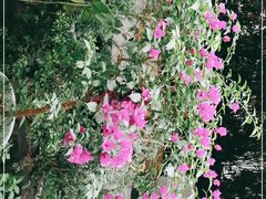 -拈一筷子·宜宾江湖菜(总店)