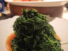 -吴越荣记苏州菜·松鼠桂鱼 100% 活鱼现做(月光码头店)