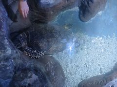 -南昌海洋公园