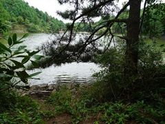 -四明山国家森林公园
