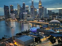 -新加坡文华东方酒店