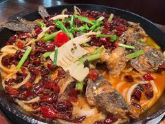 -老板恋上鱼(恒隆广场店)