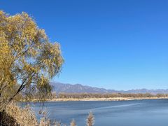 -野鸭湖国家湿地公园