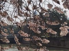 -红星桥(地铁站)
