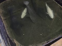 -蓝湾碧波·老字号·疍家非遗海上餐厅