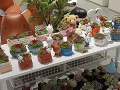 -燕莎友谊商城(金源店)