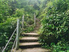 -龙窝子