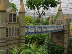 -南宫五洲植物乐园