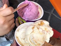 -Dooley's Premium Ice Cream