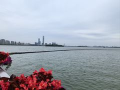 -洄归山也·高空C位湖景下午茶(东方之门店)